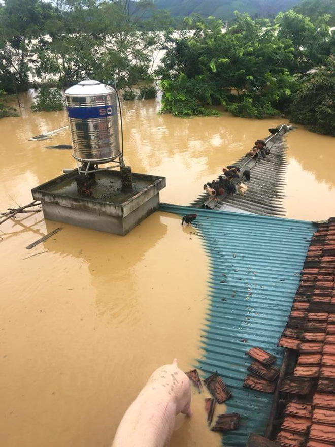 thi công nội thất