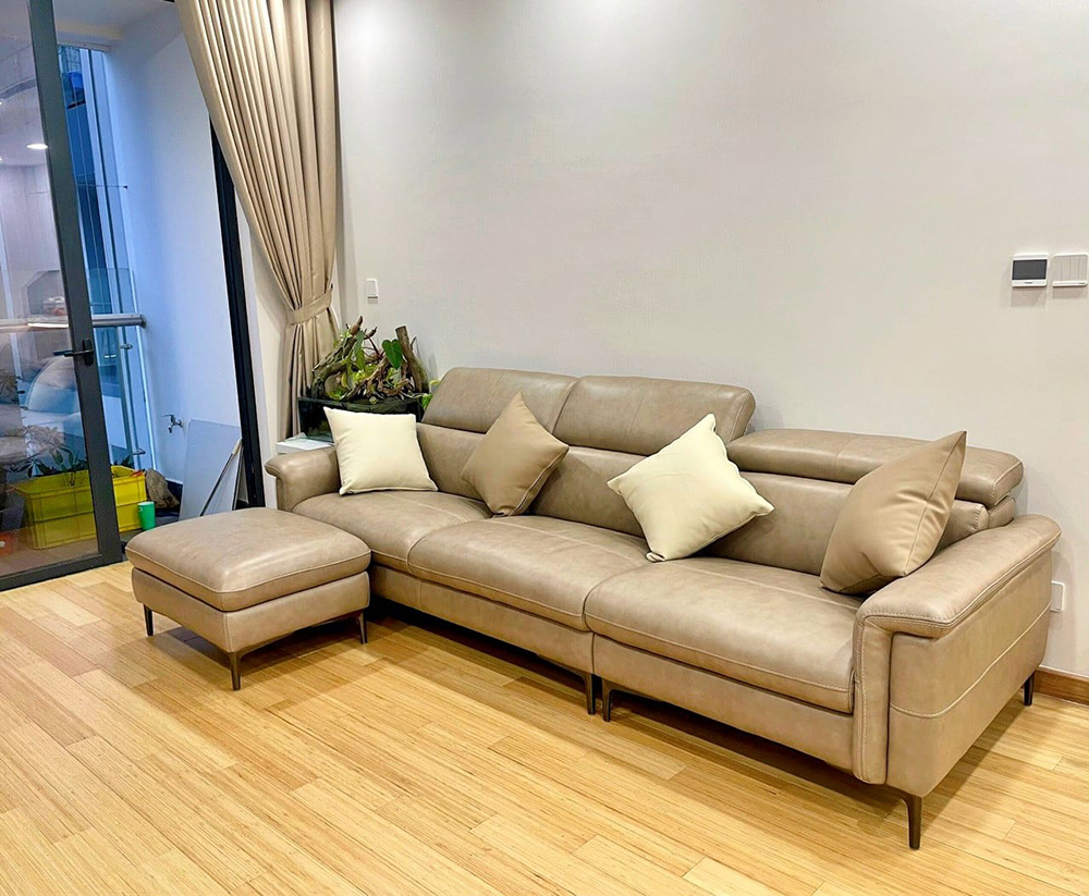 ẩm mốc sofa